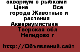 аквариум с рыбками › Цена ­ 15 000 - Все города Животные и растения » Аквариумистика   . Тверская обл.,Нелидово г.